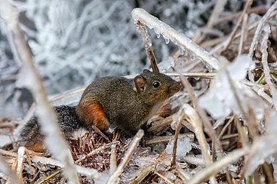 经典日剧跑！索尼发布游戏阵容宣传片《RUN! RUN! Line up》